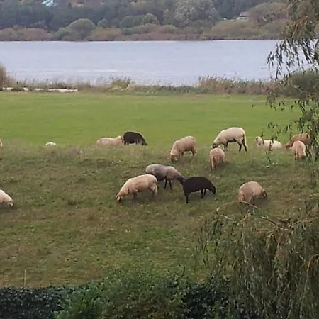 Elbe-Ferien 2 Lejlighed Tespe Eksteriør billede