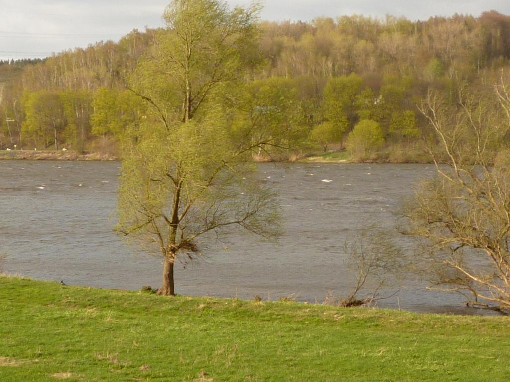 Elbe-ferien 2 * Tespe